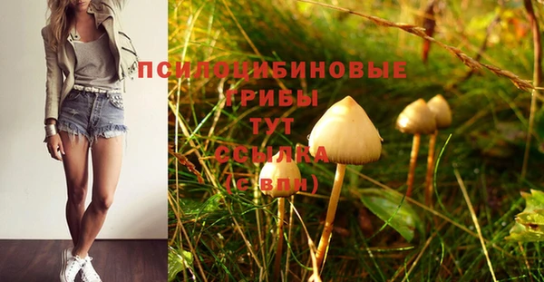 амф Алексеевка